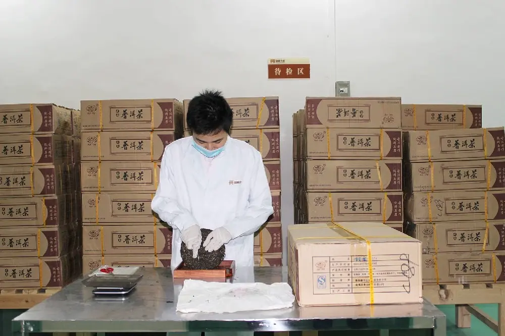 乐山普洱茶检验展示